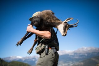 Chasse
